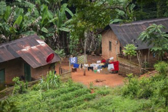 Houses in a settlement in the Amani Nature Forest Reserve, Eastern Usambara Mountains, Tanga,