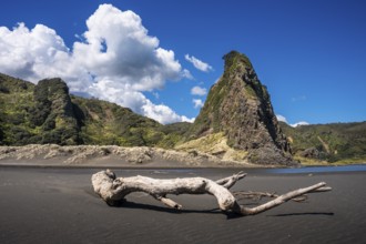 Landscape in New Zealand with sandy beach. Karekare Beach and The Watchman Rock. Karekare,