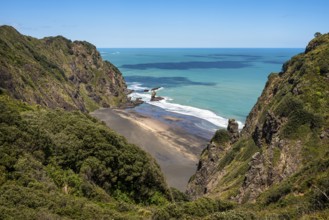 Landscape in New Zealand with sea and sandy beach. View of Mercer Bay. Mercer Bay Loop Walk hiking