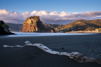 Landscape in New Zealand with sea and sandy beach. Piha Beach and Lion Rock. People on the beach,