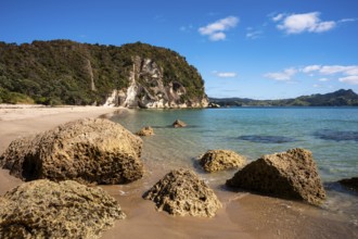 Landscape with sea and sandy beach in New Zealand. Lonely Bay, Shakespeare Cliff, Cooks Beach,