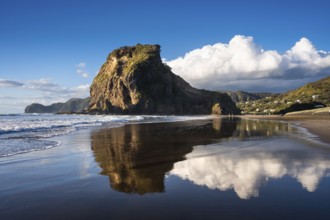 Landscape in New Zealand with sea and sandy beach. Piha Beach and Lion Rock. People on the beach,