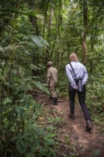 Tourists and rangers run in the jungle, Kibale National Park, Uganda