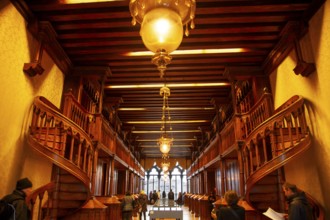 Palazzo Cavalli-Franchetti, cultural institution of the Istituto Veneto di Scienze, Lettere ed