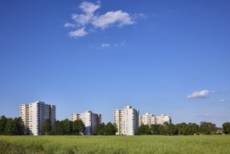 View of skyscrapers on NiederhöchstÃ¤dter StraÃŸe, residential buildings, trees, cultivated