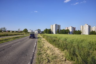 View of skyscrapers on NiederhöchstÃ¤dter StraÃŸe, fields, cultivated landscape, oilseed rape