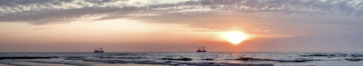 North Sea panorama crab fishermen in sunset mood