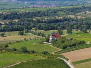 Pilgrimage church Maria im Weingarten, in the middle of extensive vineyards with a view of a river,