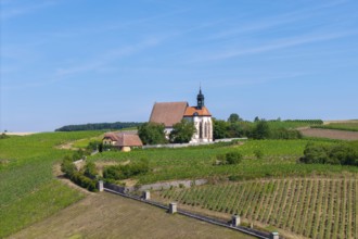 Pilgrimage church Maria im Weingarten, in the middle of green vineyards on a sunny day, near
