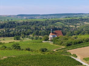 Pilgrimage church Maria im Weingarten, embedded in a green, rural landscape with blue sky, aerial