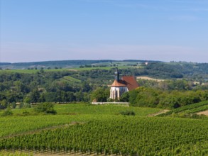 Pilgrimage church Maria im Weingarten, in the middle of vineyards with wooded hills in the