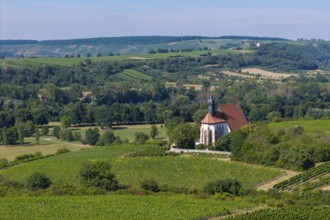 Pilgrimage church Maria im Weingarten, amidst green vineyards and rolling hills in a rural summer