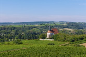 Pilgrimage church Maria im Weingarten, with vineyards in the foreground and hills in the