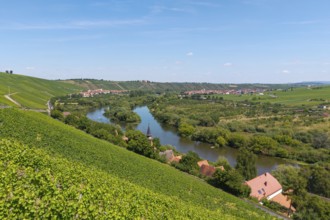 Mainschleife in summer, charburner near Volkach, behind Escherndorf, aerial view, Lower Franconia,