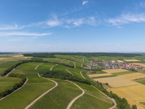 Panorama of vineyards stretching to a village with wind turbines on the horizon, Eisenheim near