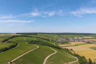 View of roads meandering through vineyards towards a village, with wind turbines in the background,