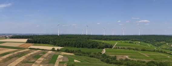 Panoramic view of fields with a wind farm in the background under a blue sky, aerial view, near