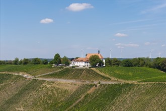 Rural scene with vineyards, a white building with a red roof and wind turbines in the background