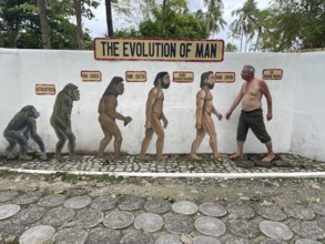 Evolution of anatomically modern man (Homo sapiens), parody, satire, funny, humour, wrong