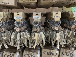 Souvenir, whale shark key ring, Cebu, Philippines