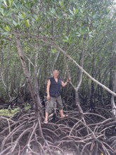 Man standing on the stilt roots of mangroves (Rhizophora mucronata), mangroves are one of the most