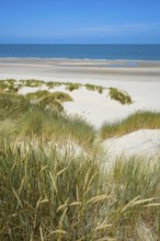 Domburg, Zeeland, Netherlands - Noordduine Domburg beach