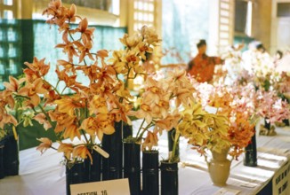 People attending flower show at the Singapore Turf Club, The 4th World Orchid Conference,