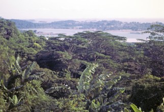View over tropical rainforest trees to Sentosa island from from Mount Faber, Singapore, southeast