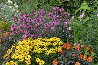 A vibrant garden with colourful flowers in yellow, pink and orange, surrounded by lush greenery,