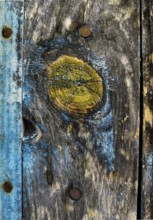 Close-up view of weathered wood with blue and yellow markings against a rustic background