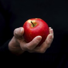 Bright red apple held gently in a hand against a dark background, showcasing a moment of simplicity