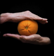 Two hands gently cradle a bright orange in a striking dark setting for a stunning visual focus on