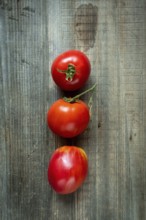Freshly picked ripe tomatoes showcasing vibrant colors and textures on rustic wooden surface