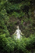 A tranquil statue of Virgin Mary stands amidst dense green foliage, with branches encircling it.