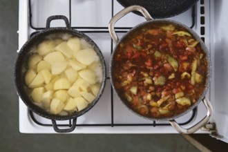 Boiling chunks of potatoes in one pot while a rich vegetable stew simmers in another. The stovetop