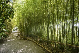 Park, Villa Ephrussi de Rothschild, Saint-Jean-Cap-Ferrat, Cap Ferrat, Alpes Maritimes, Provence