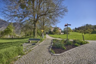 Footpath, cobblestones, bench, flowerbed, trees, lawn, hill, mountain landscape, forest, blue sky,