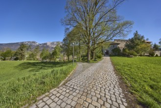 Castle Gruttenstein, mountains, footpath, cobblestones, lantern, entrance, trees, lawn, blue sky,