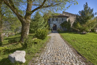 Castle Gruttenstein, footpath, cobblestones, entrance, trees, lawn, blue sky, cloudless,