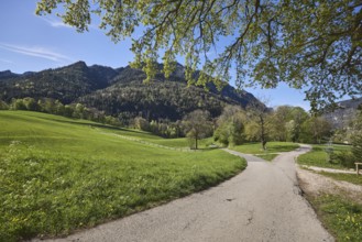 Landscape photography, landscape, mountain landscape, mountains, forest, cultural landscape,