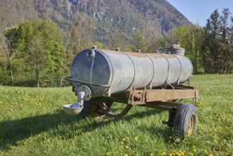Cattle trough, agricultural equipment, cultural landscape, agriculture, mountain landscape,