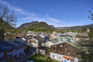 Long shot, historic old town, bird's eye view, historic buildings, trees, mountain landscape,