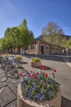 Historic buildings, bicycle stand, bicycle, flower pots, trees, backlight, blue sky, cloudless,