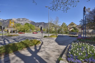 Streets, traffic lights, lantern, trees, flower bed, tulips (Tulipa), general architecture,