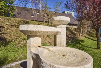 Stone fountain, fountain, trees, meadows, depth of field, blue sky, cloudless,