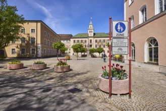 Pedestrian zone, traffic sign, square, historic town hall, trees, general architecture, flower