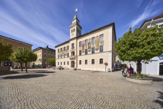 Historic town hall, frescoes, trees, square, cobblestones, general architecture, blue sky,