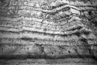 Cliff, cliffs, coastal landscape, rock formation, geological structures, black and white, Yport,