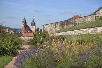 Terraced garden and St George's Church, flower bed, ornamental garden, Schmalkalden, Franconia,