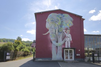 Mural The Elephant by CASE 2013, street art, graffiti, mural, elephant figure, child, boy, front